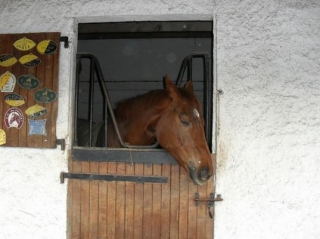Equestrian center between Guerande and St Nazaire 